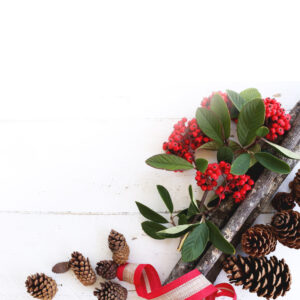 Chiusura natalizia uffici e magazzino Herz e calendario consegne dicembre 2017