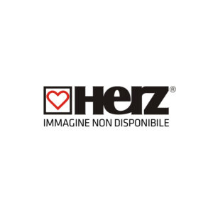 Herzitalia.it | Collettore di aspirazione